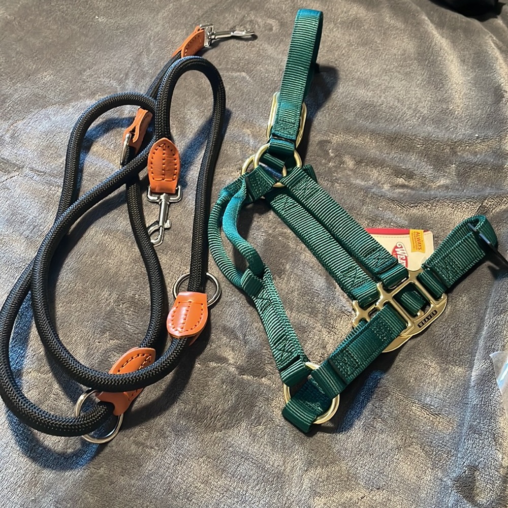 Weaver Leather Basic Non-Adjustable Nylon Horse Halter and leash New with tags